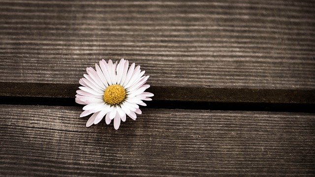 দাওয়াতের প্রাথমিক পর্যায়