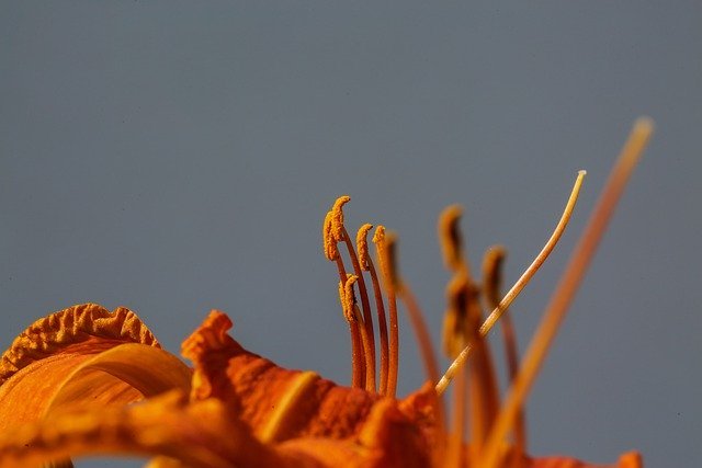 সব কেন উলটে গেল!